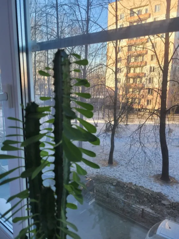 Квартира Квартира Soft Nice Apart — Санкт-Петербург