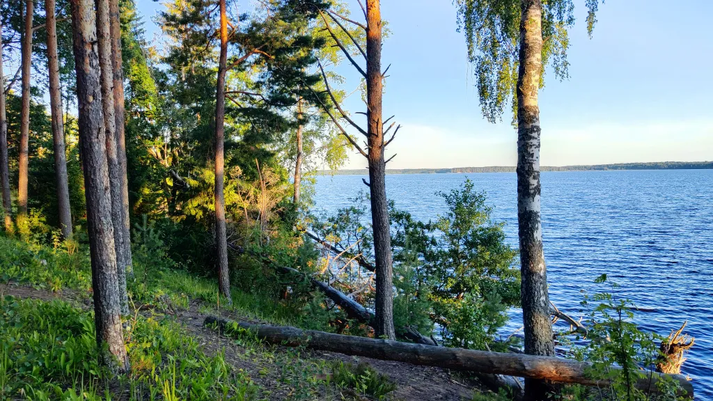 Коттедж Дом у озера с баней, чаном и детской площадкой с батутом. — Ланино