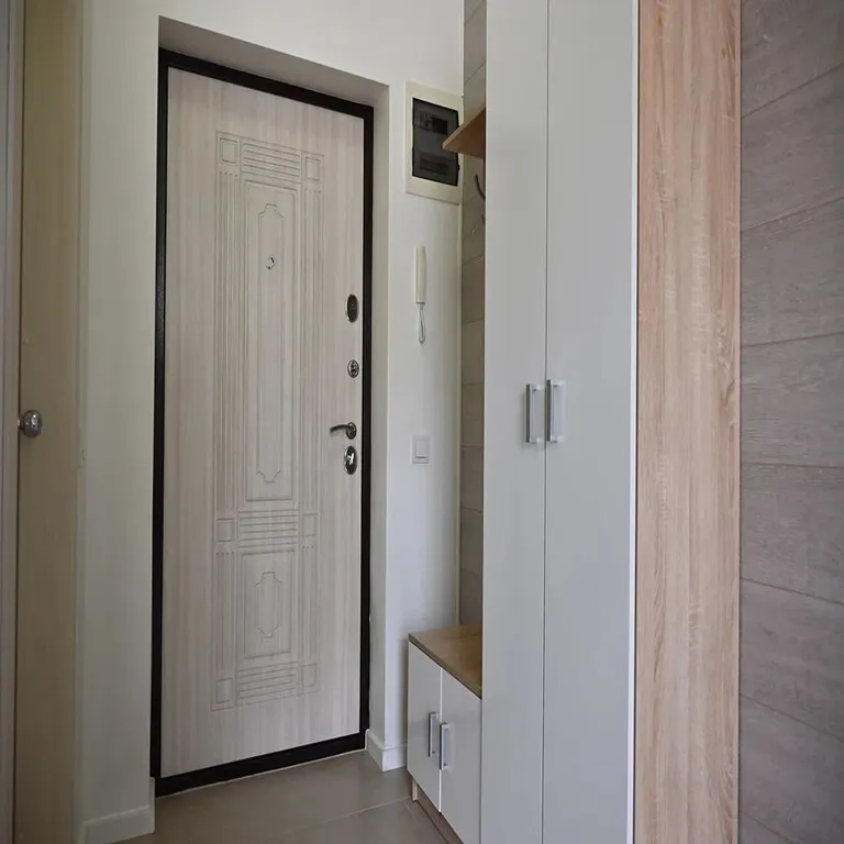 Квартира Квартира Уютная студия у Олимпийского парка — Сириус