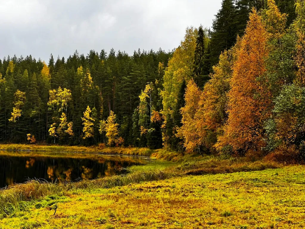 Дом с сауной на берегу реки