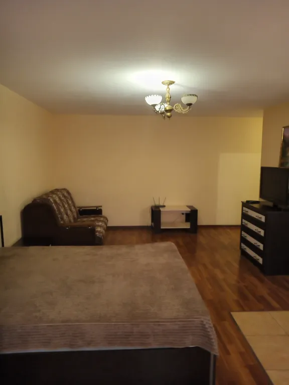 Уютная и ухоженная квартира -студия в центре