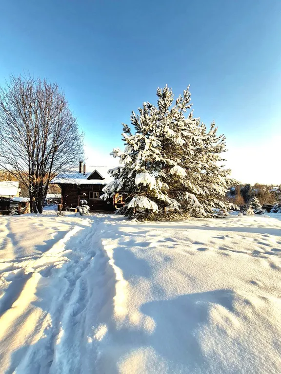 Баня дом на заливе