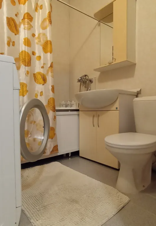 Апартамент в новом центре города