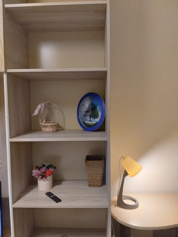 Квартира Уютная однокомнатная квартира рядом с НИИ Петрова — Песочный