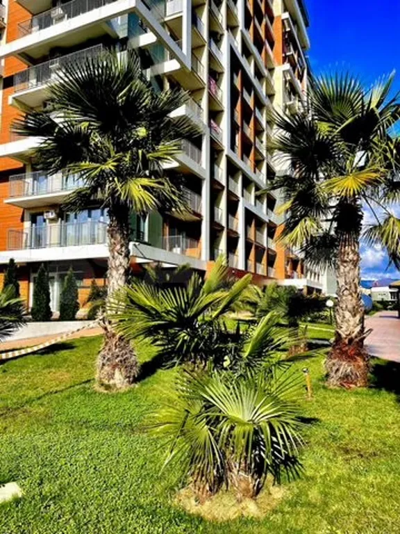 Уютная студия