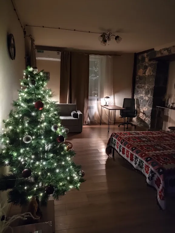 Апартамент с панорамным видом