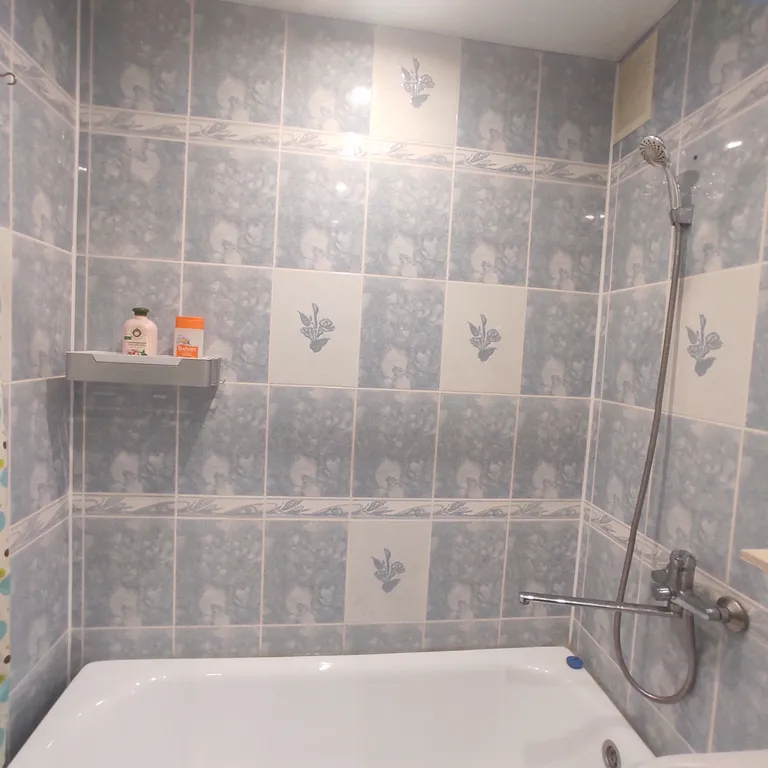 Уютная однокомнатная квартира