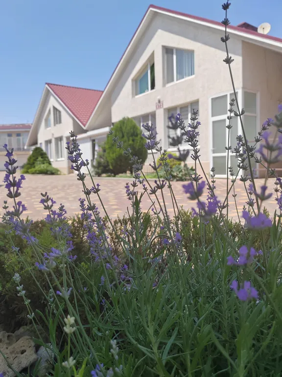 Коттедж Квартира у моря — аренда посуточно в Заозёрное