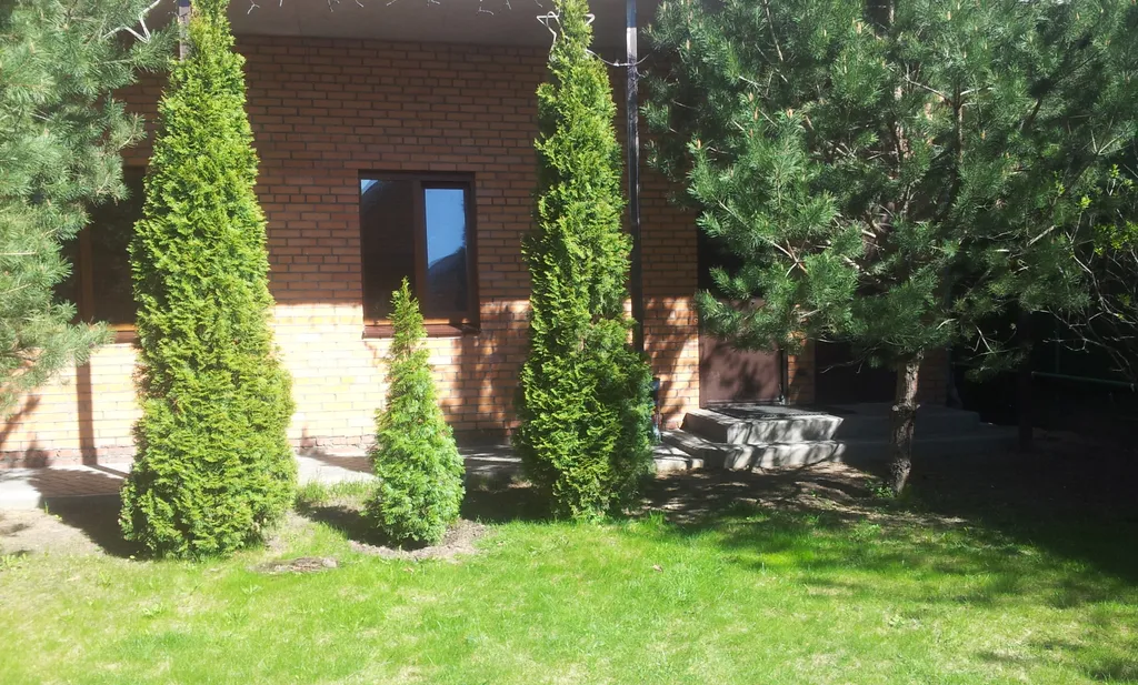 Коттедж Коттедж с большим бассейном — Черное