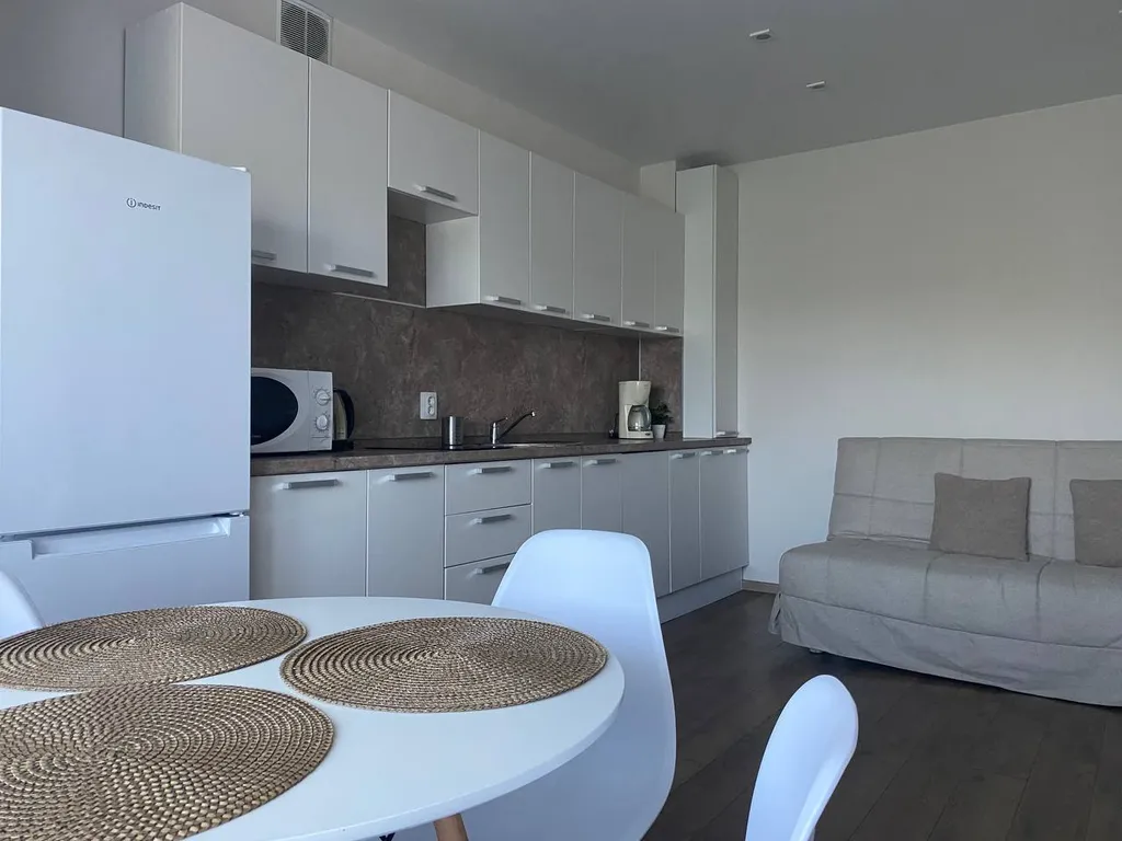 Апартамены Сканди Style