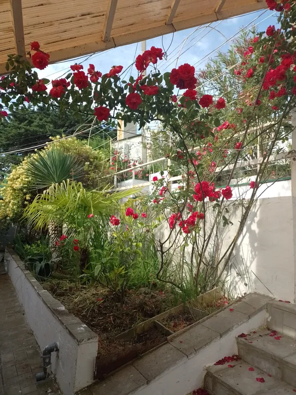 Коттедж Апартаменты с видом на море — Сочи