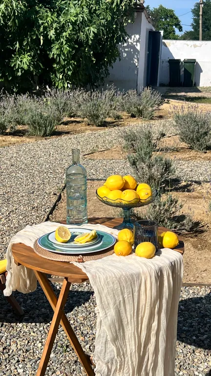 Квартира Комната — Сенной