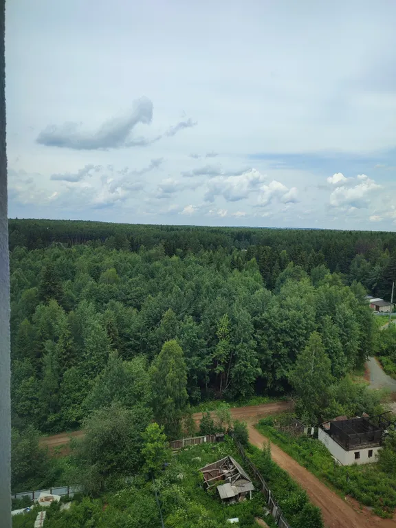 Уютная квартира-студия у леса