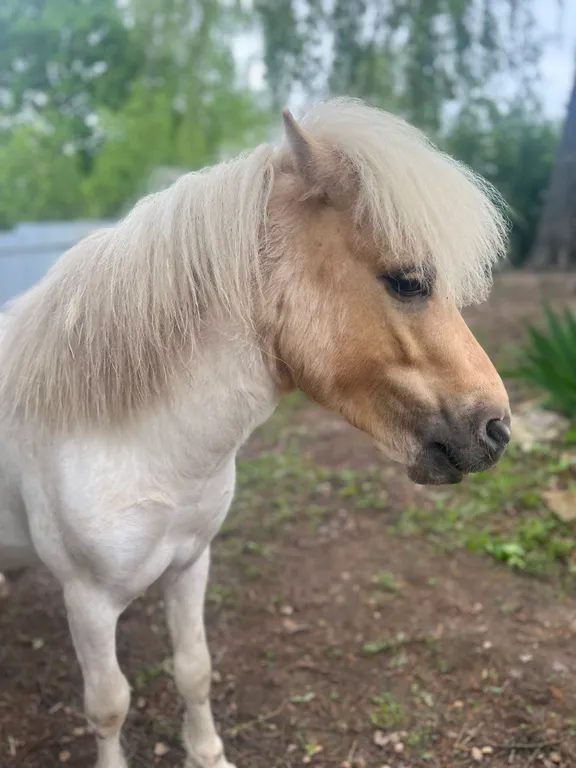 Гостевой дом Сота