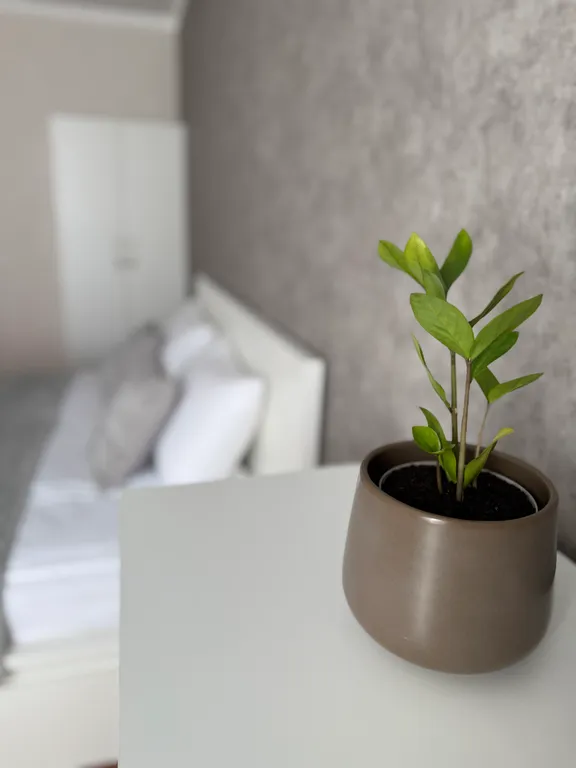 Квартира Уютная 2-х комнатная квартира, идеально подходящая для проживания — Калининград