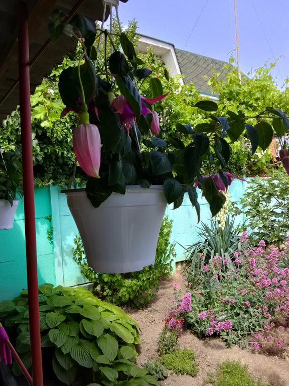 Квартира Комната — Феодосия