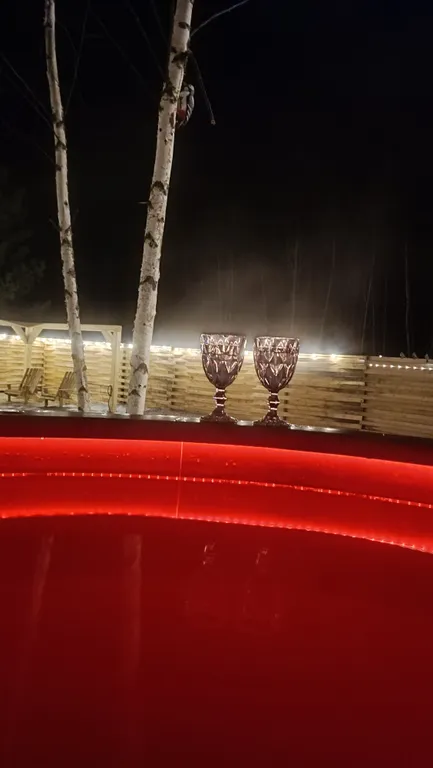 Чарующий дом Птички