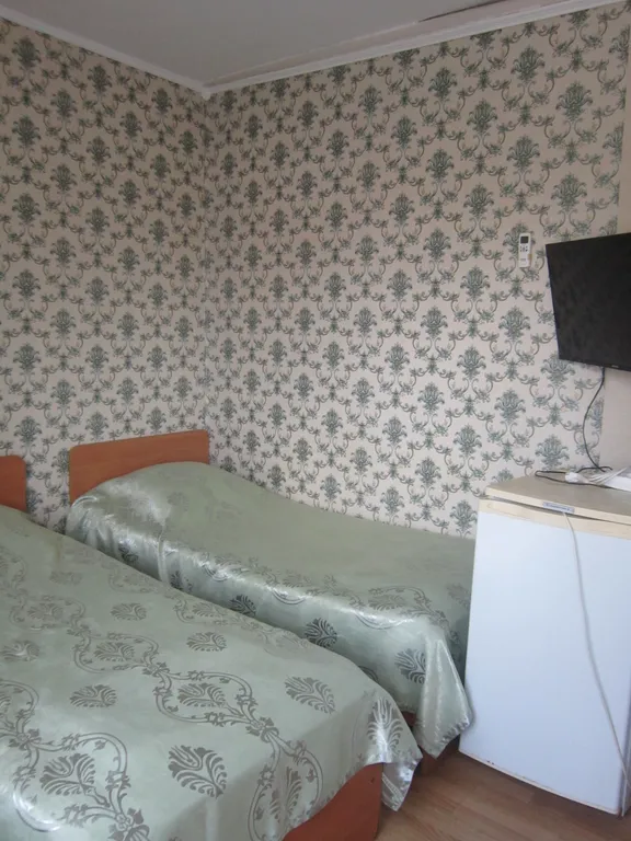 Квартира 2-х местный Стандарт с удобствами — аренда посуточно в Адлер