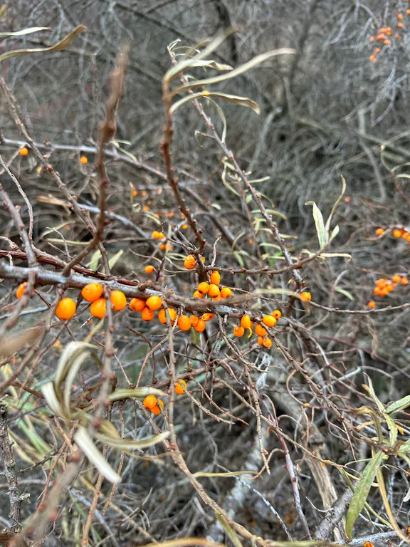 Апартаменты у моря