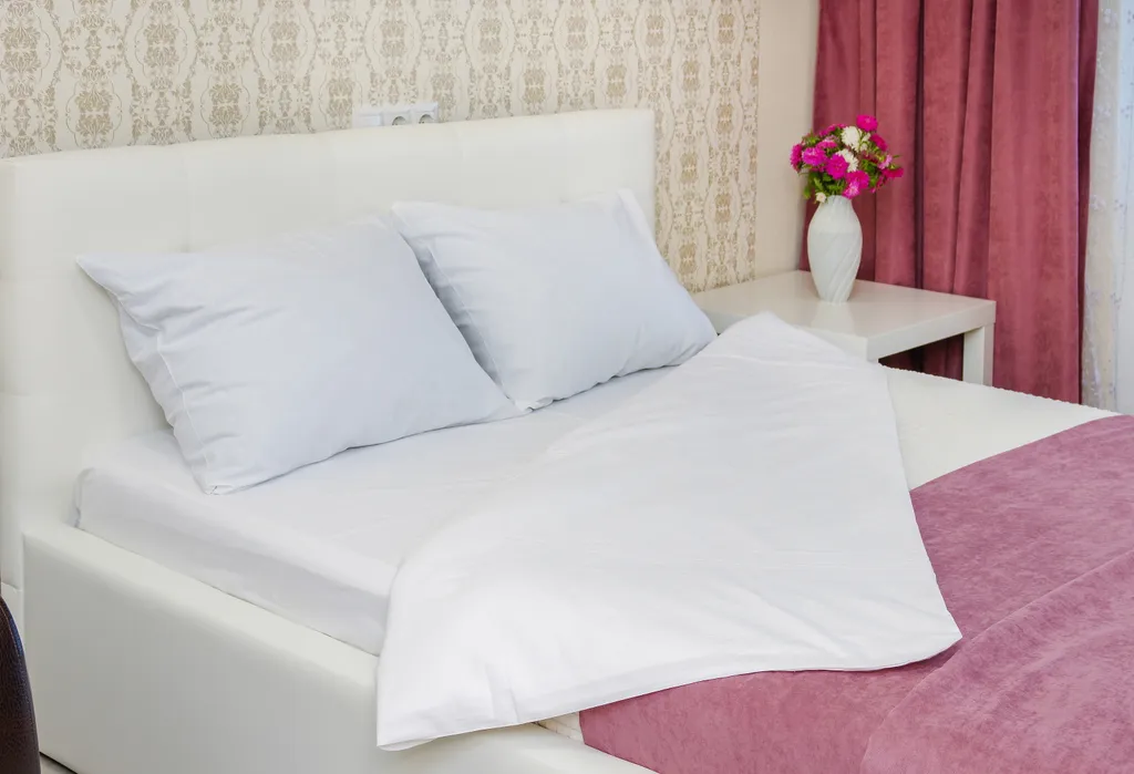 Просторная светлая 1-комнатная квартира у Гран-при и Олимп-пять. — аренда посуточно в Воронеж