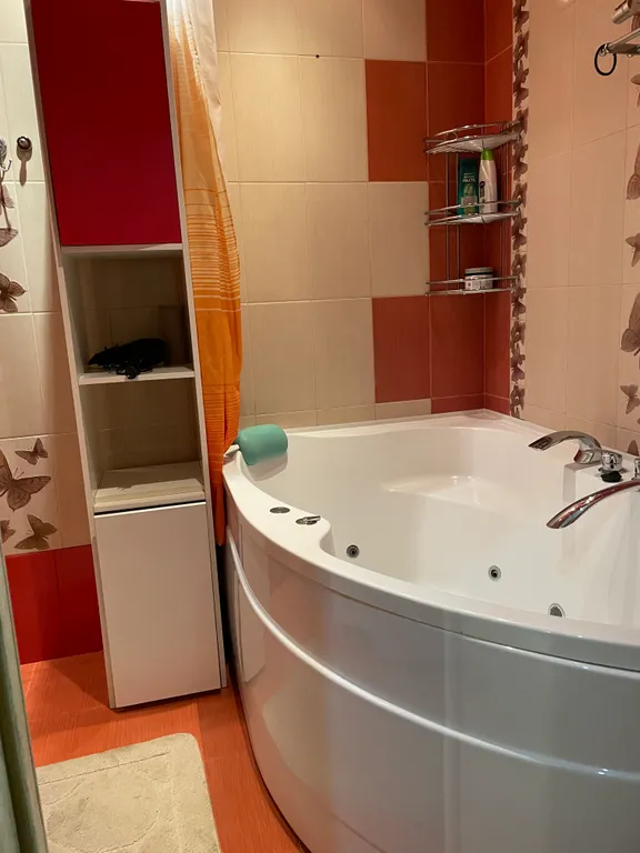 Большая, просторная квартира