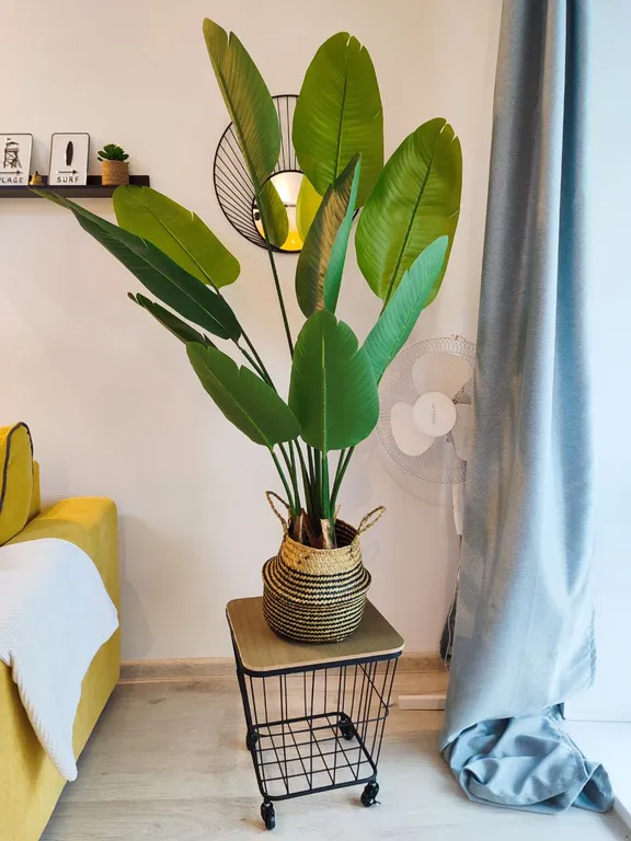 Уютный апартамент в центре города