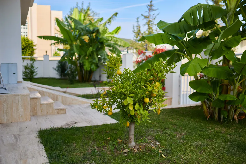 Новая вилла с 3-спальнями и видом на горы