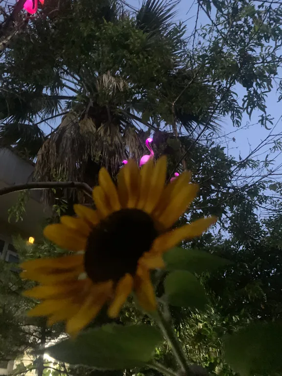 Квартира Комната — Адлер