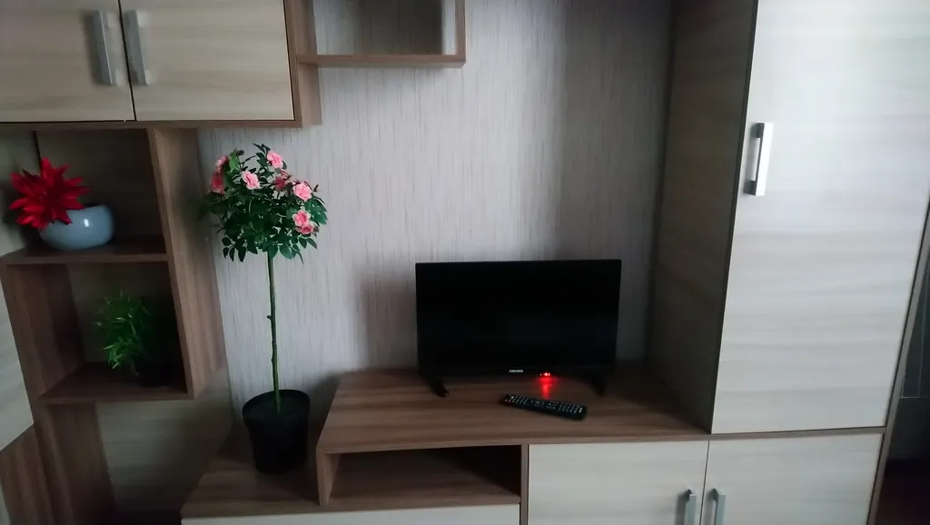 Уютная студия в Новом Петергофе