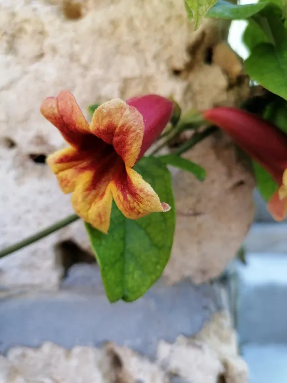 Дом с бассейном на Азовском море Виноград