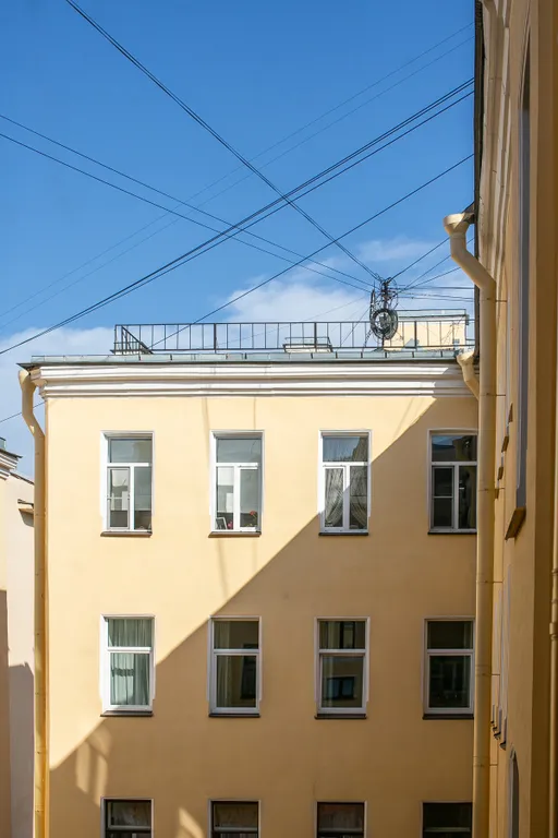 Квартира с пионами в центре