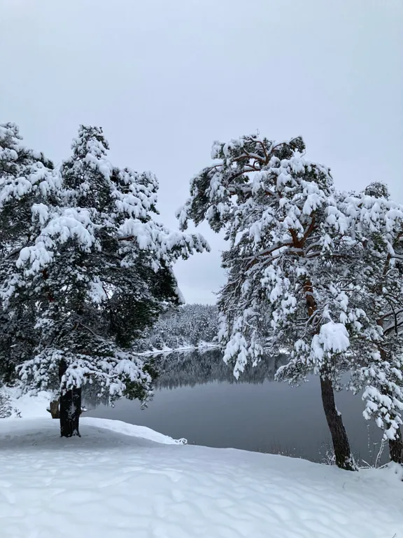 Уютный лесной домик со всеми удобствами