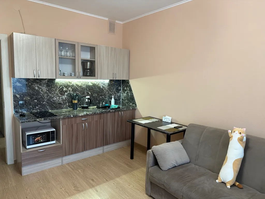 1-комнатная Квартира — аренда посуточно в Кудрово