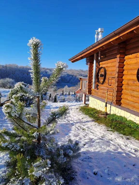 Коттедж Малый дом в усадьбе Романовская Слобода — Зеленоградск