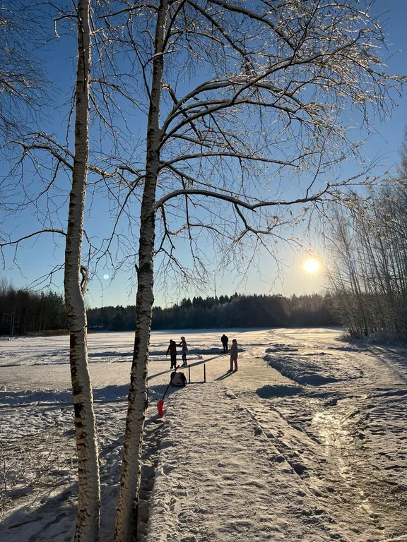 Дом в лесу у озера
