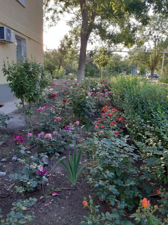 Уютная квартира с видом на море