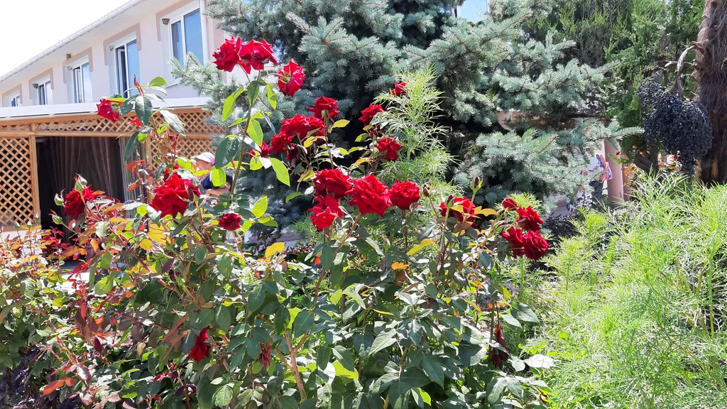 Апартамент в 5 минутах до моря со всеми удобствами