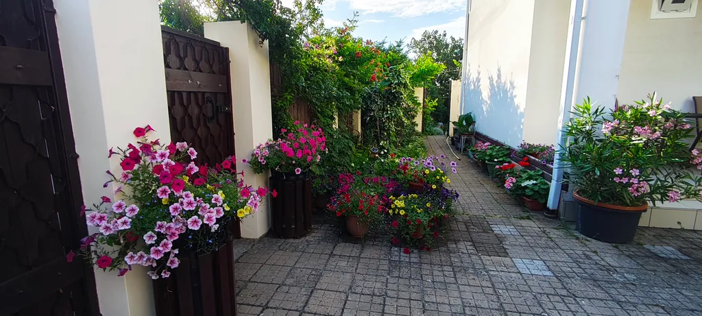 Квартира Квартира Большой и солнечный номер на втором этаже со своей кухней — Геленджик