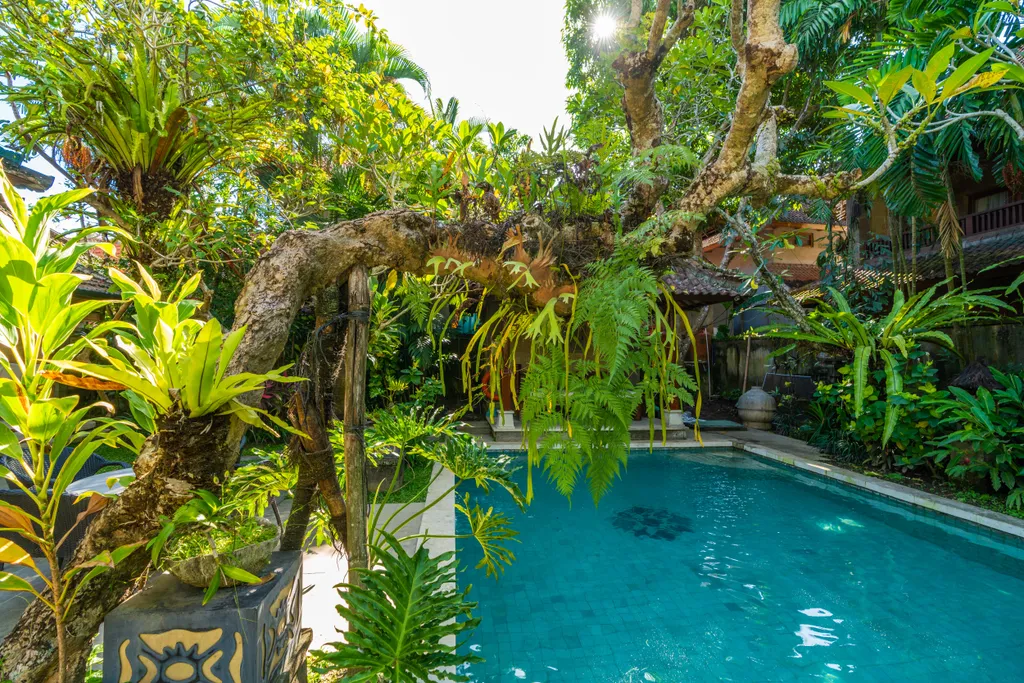 Villa Soca 3 by Pause INN