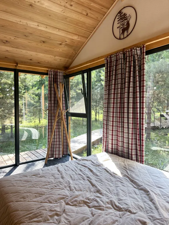 Шале посреди молодого сосново-березового леса