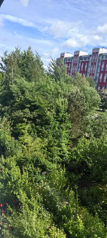 Квартира 1-к квартира на Емельянова, в городе — Калининград