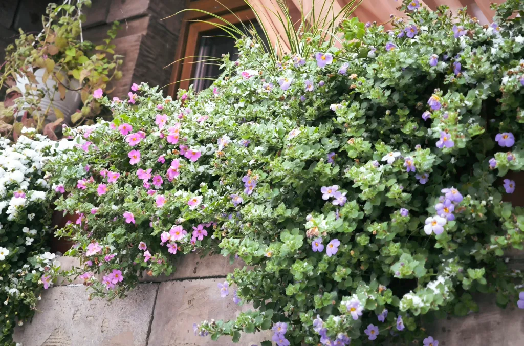 Апартамент с видом на набережную рядом с Шереметьево