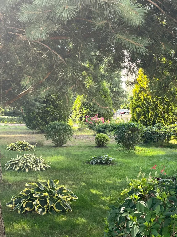 Большая квартира с зонированием и с видом на лес