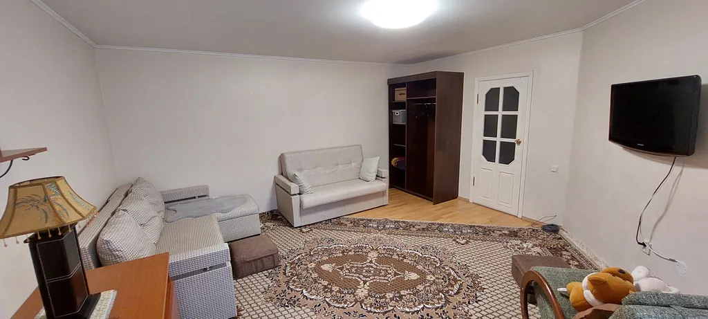 Большая квартира на Ольгином пруду.