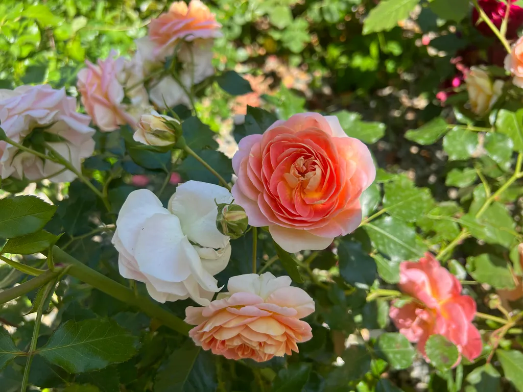 Большой дом с бассейном