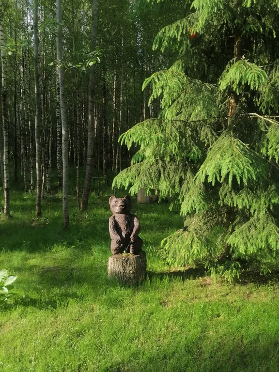 Домик в лесу с баней