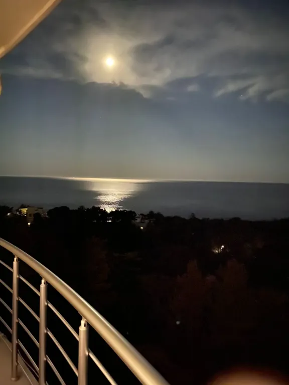 Квартира-студия с видом на море, парк Чаир и гору Ай-Петри