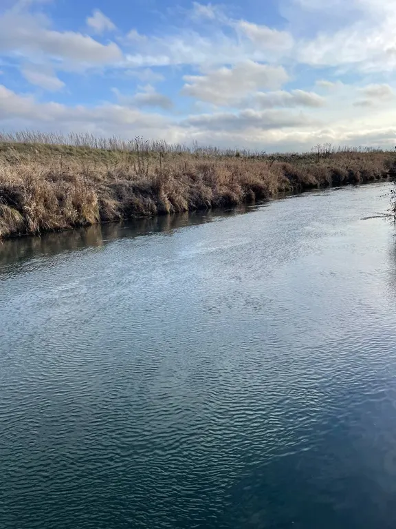 Дом у ручья