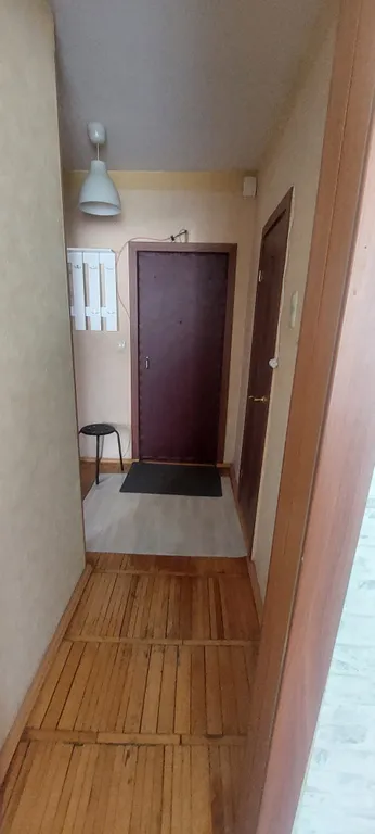Блохина квартира