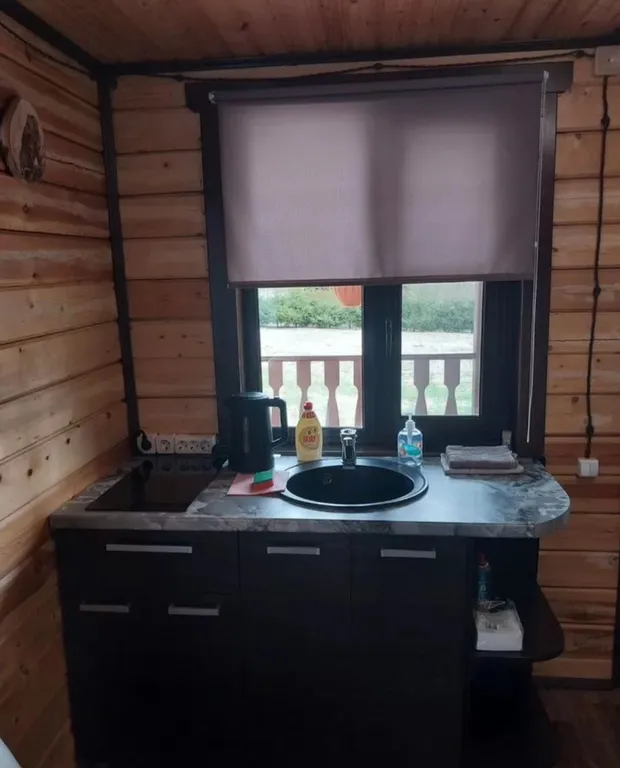 Дом-баня с видом на лес